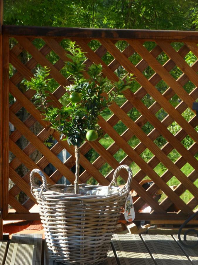 Gite Colombe Des Bois Estadens Luaran gambar